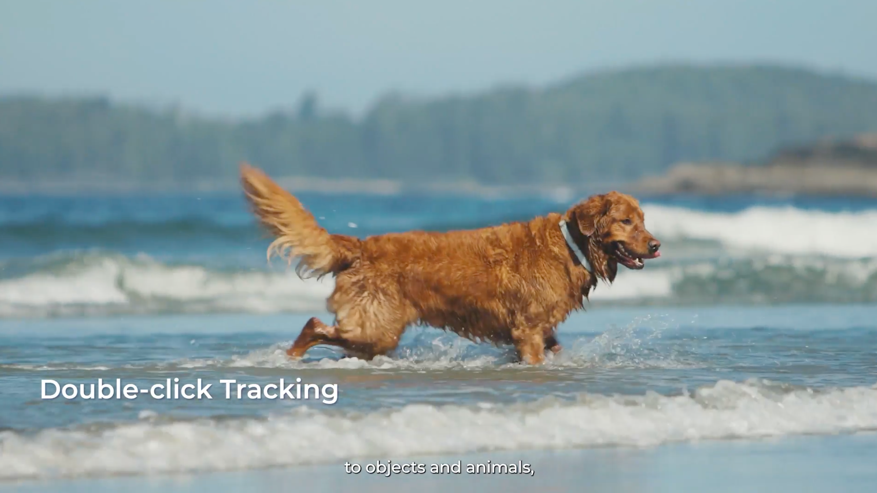 OBSBOT Tail 2 : AI Tracking